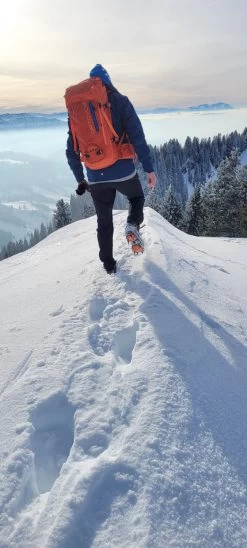 Ortovox Peak 35 - Mountaineering Backpack 7 Ortovox Peak 35 - Mountaineering Backpack -Ortovox Outdoor ortovox peak 35 tourenrucksack 479eeaaef0ad34f8d4b20e458b7c94a1 1